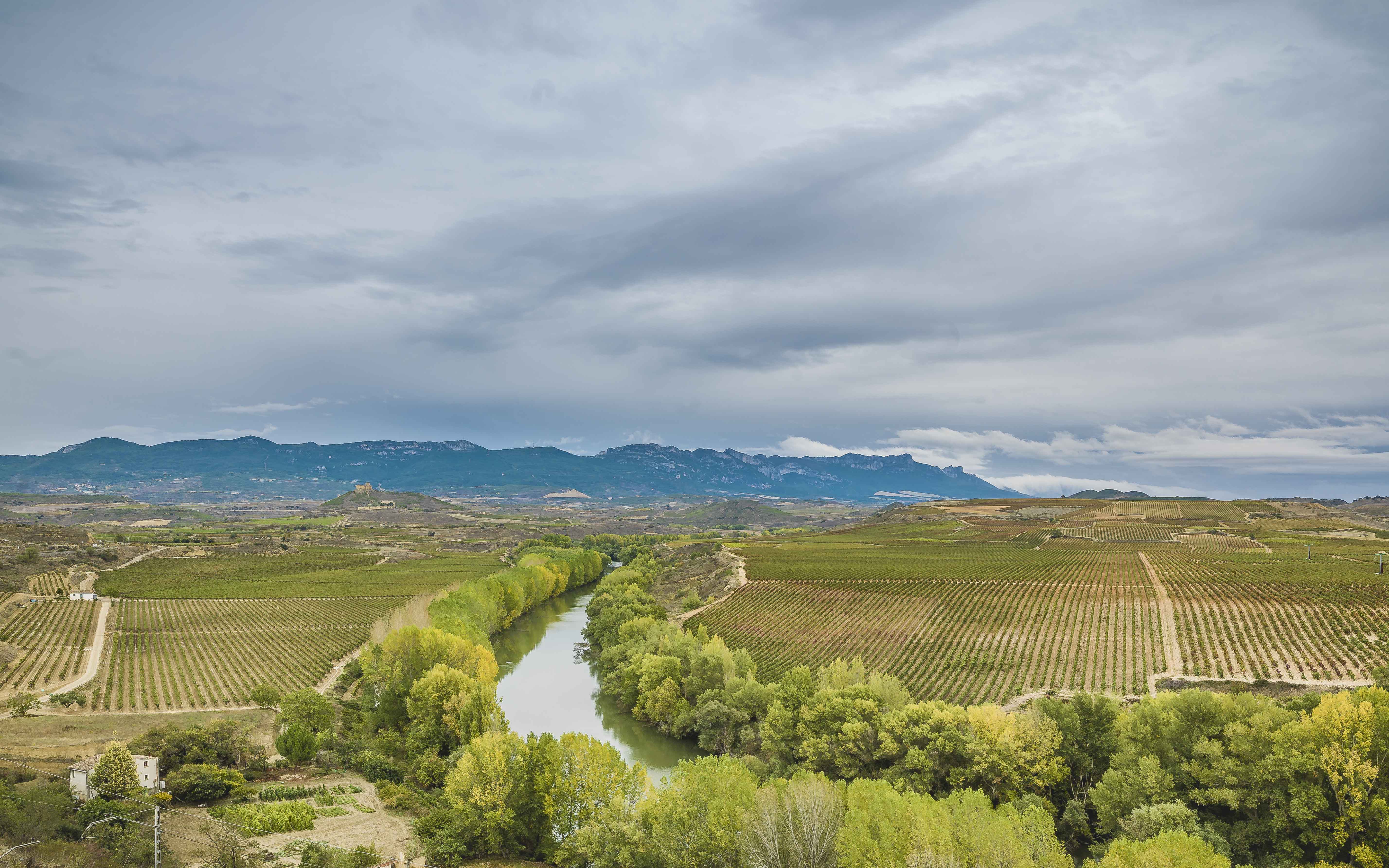 TURISMO DEL VINO EN LA RIOJA. PLAN ESTRATÉGICO
