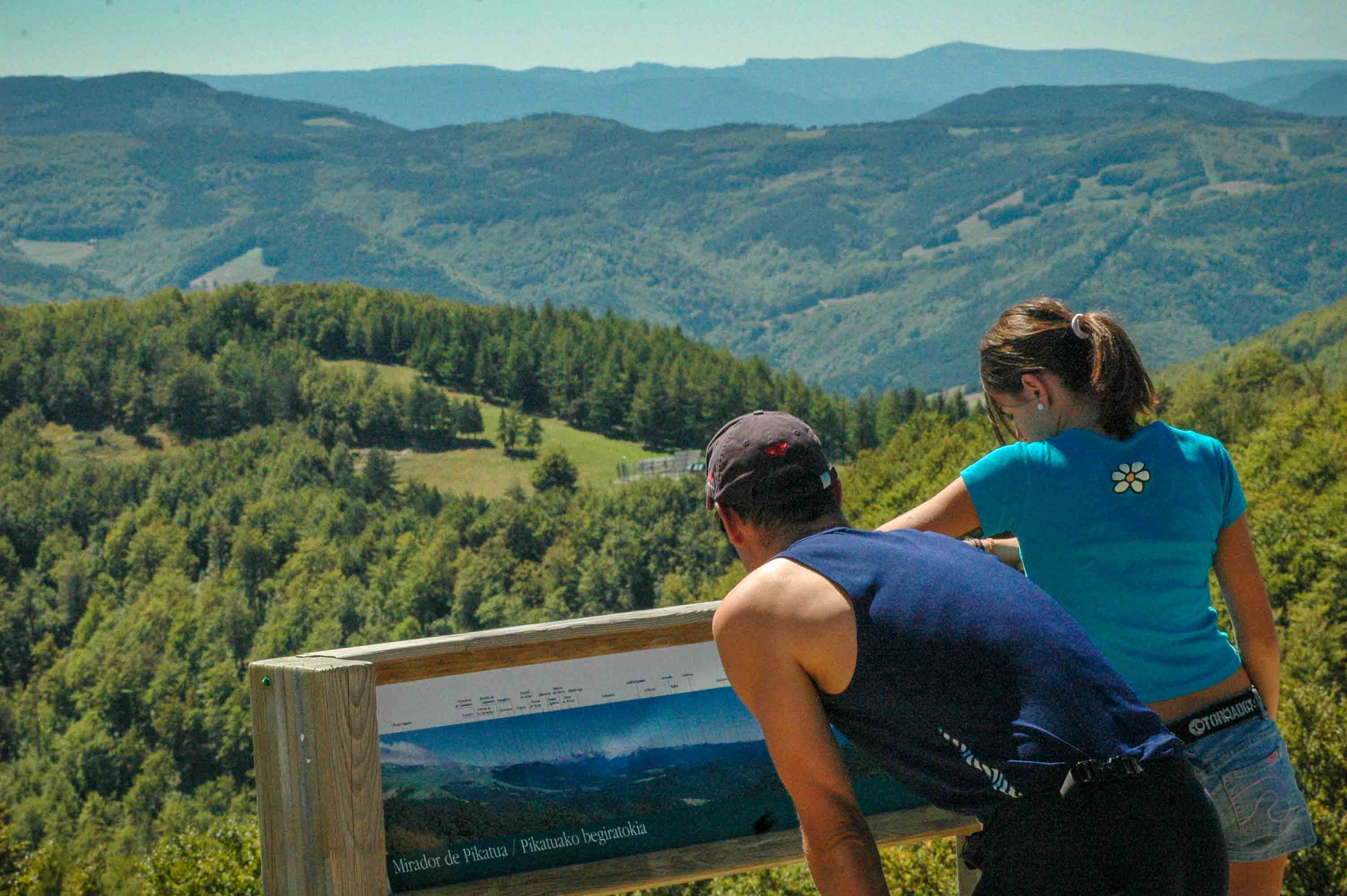 SELVA DE IRATI. NAVARRA. PROGRAMA DE REPOSICIONAMIENTO