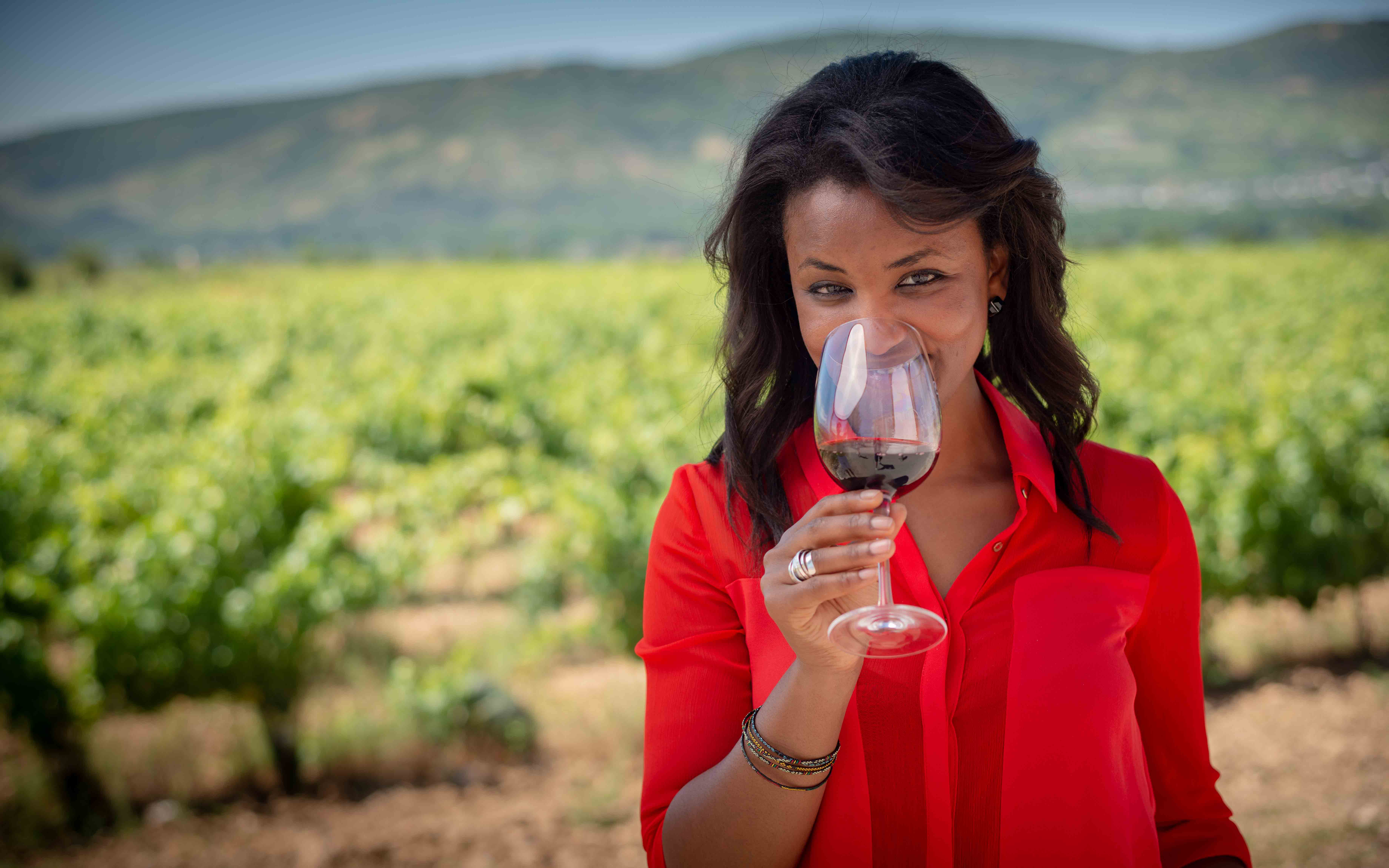 TURISMO DEL VINO MENDOZA. DIAGNÓSTICO Y EVALUACIÓN