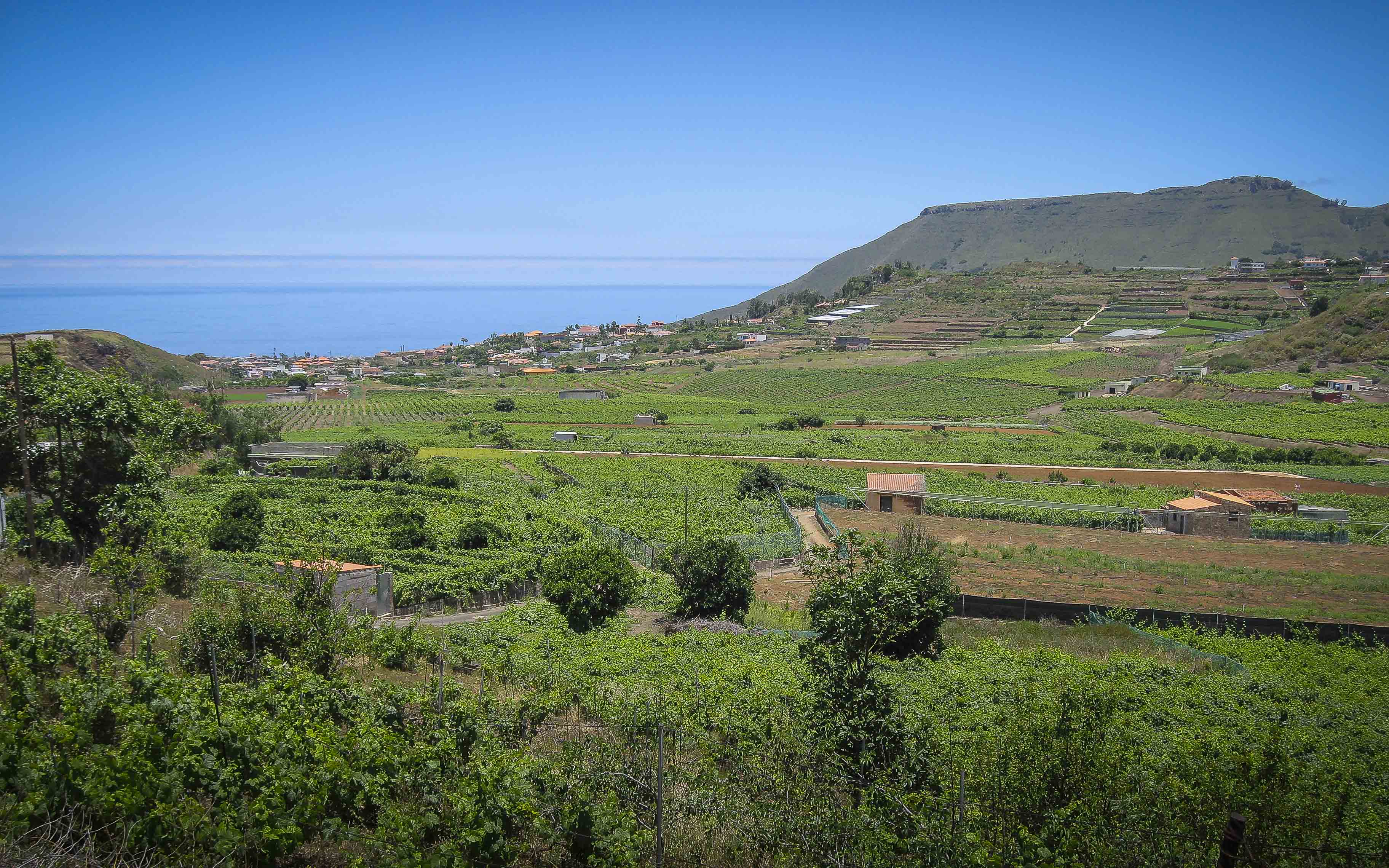 TACORONTE-ACENTEJO. PLAN ESTRATÉGICO DEL TURISMO