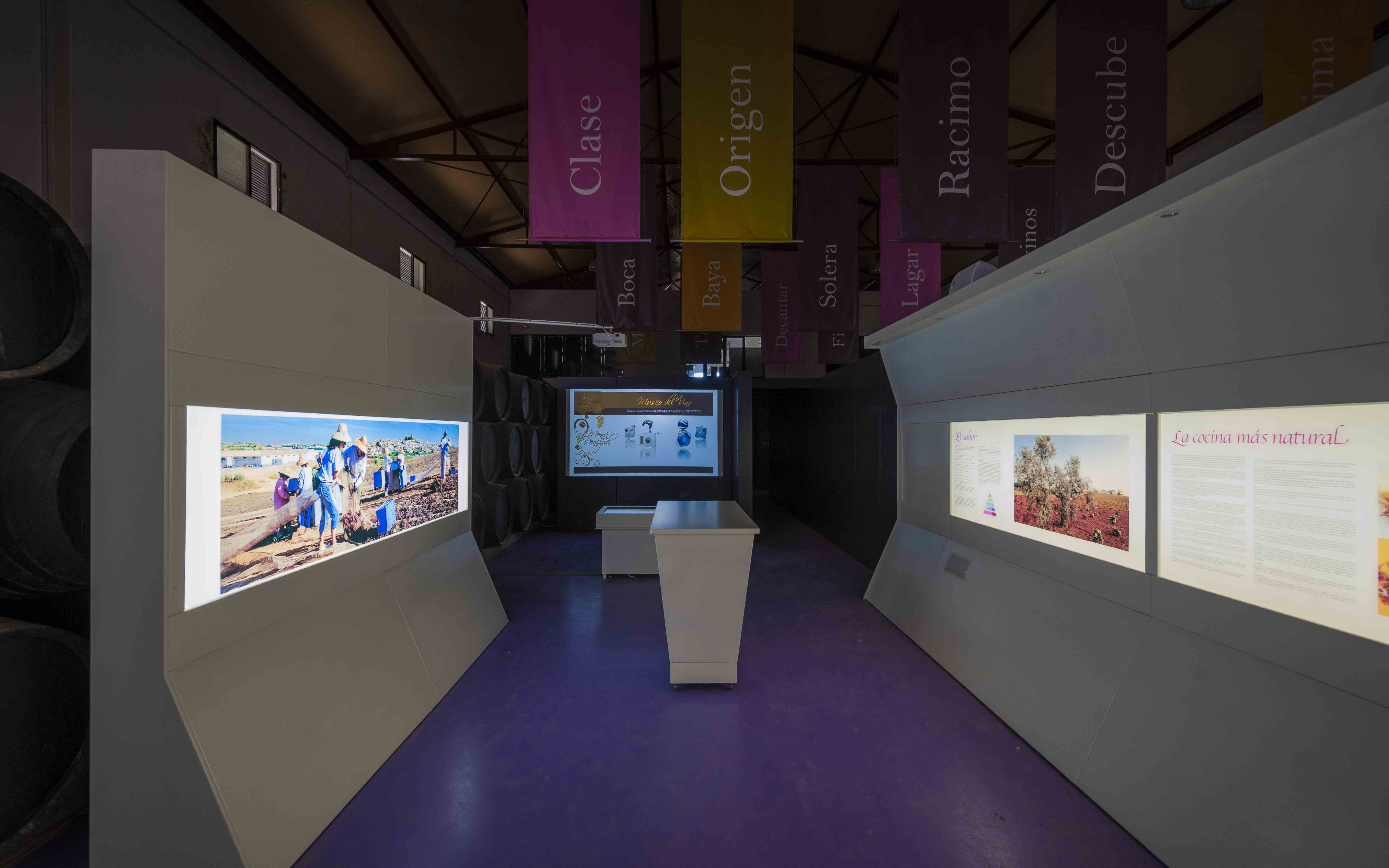 MONTILLA-MORILES. CENTRO PEDRO XIMENEZ