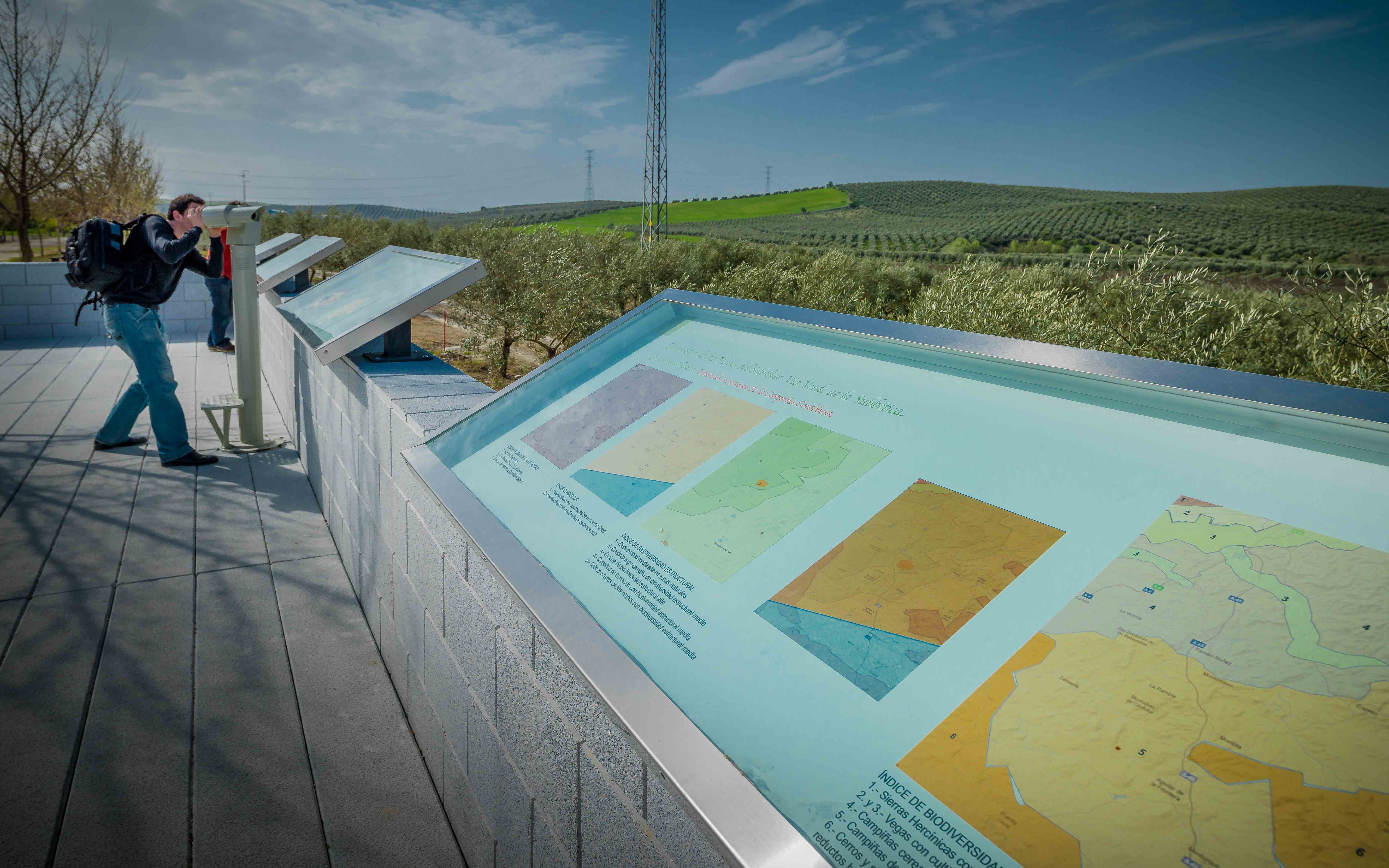 LUCENA. PLAN ADECUACIÓN VÍA VERDE