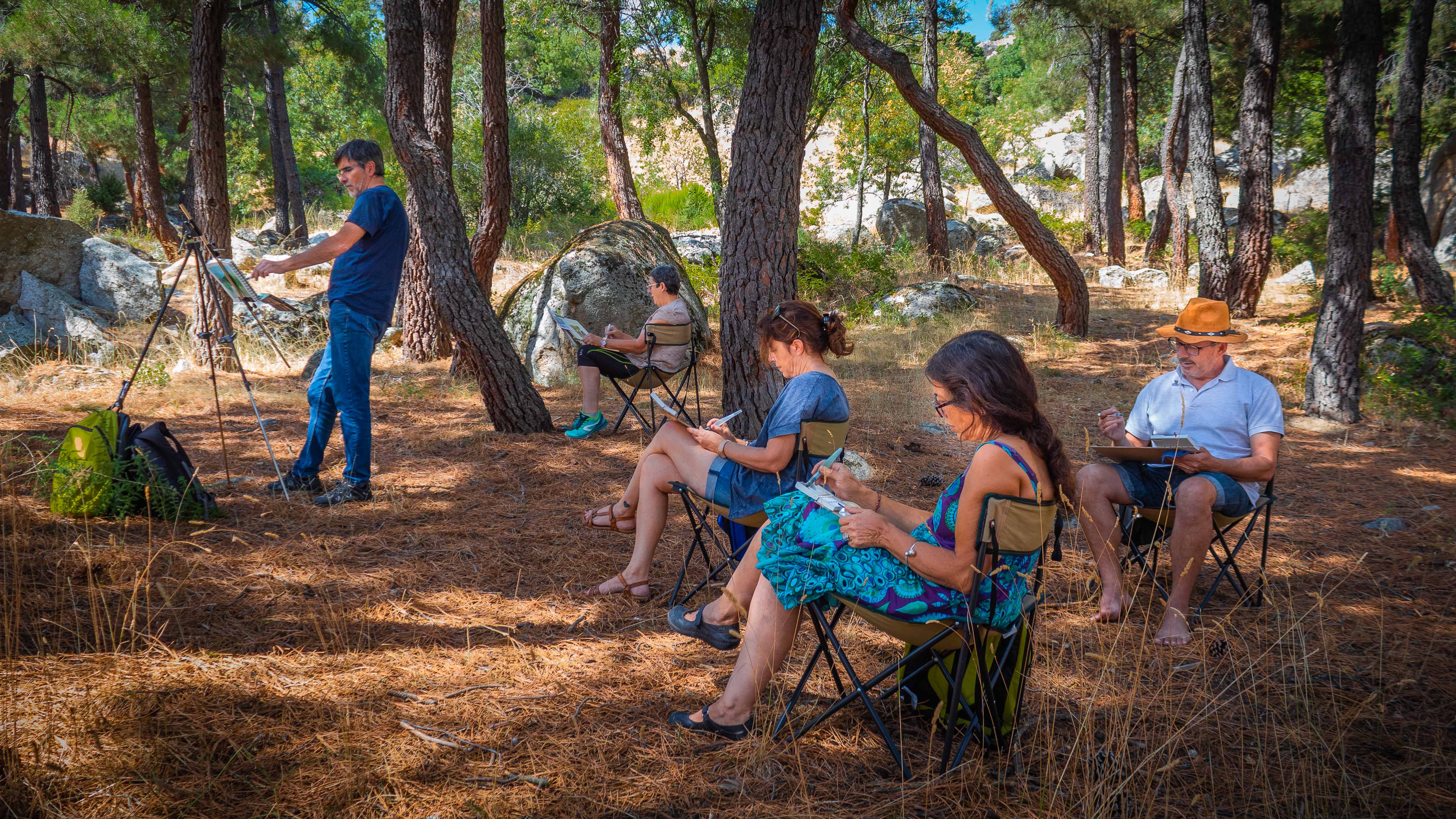 SIERRA OESTE DE MADRID PROGRAMA COMPETITIVIDAD