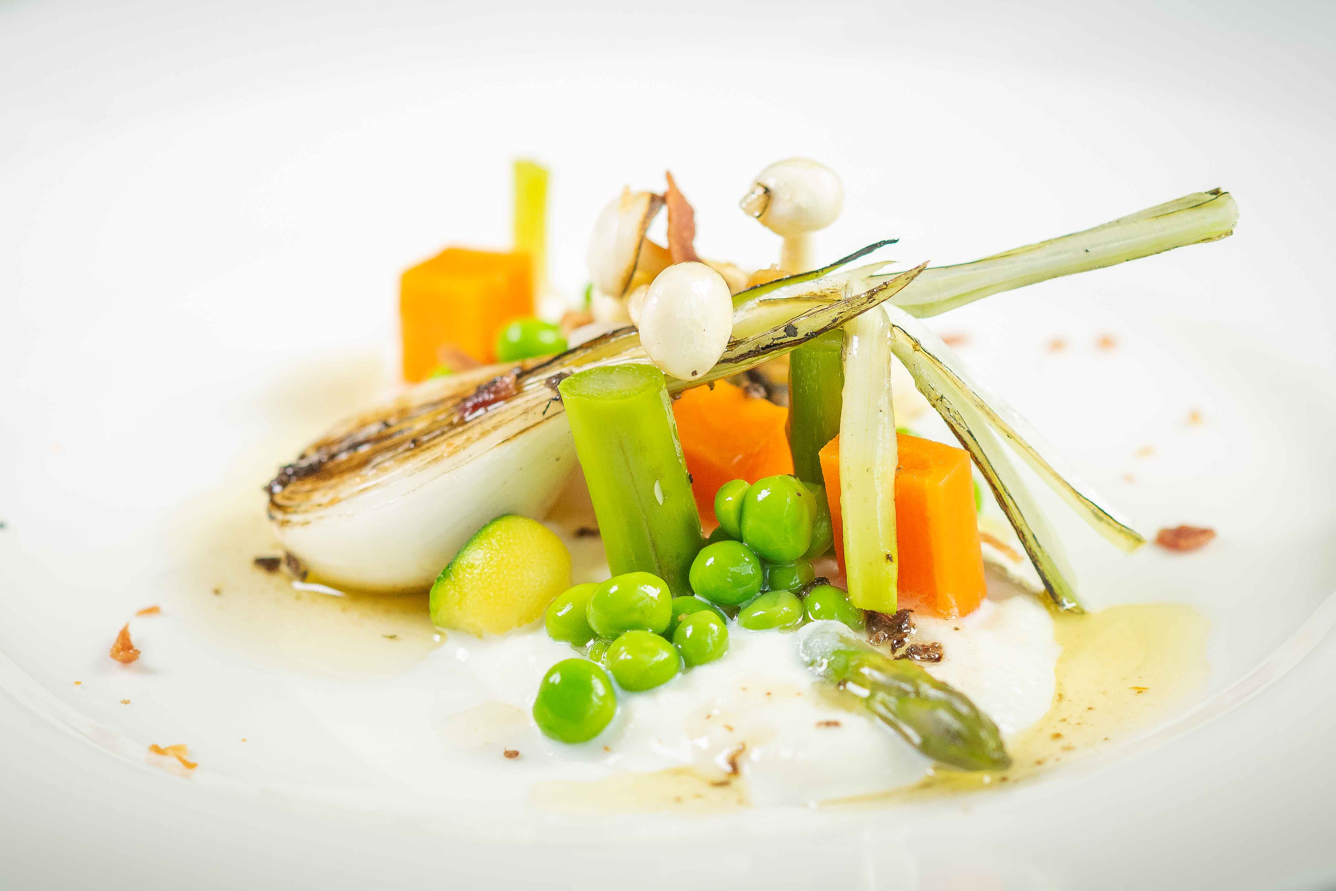 PROGRAMA GASTRA. SISTEMA DE GESTIÓN DE CALIDAD