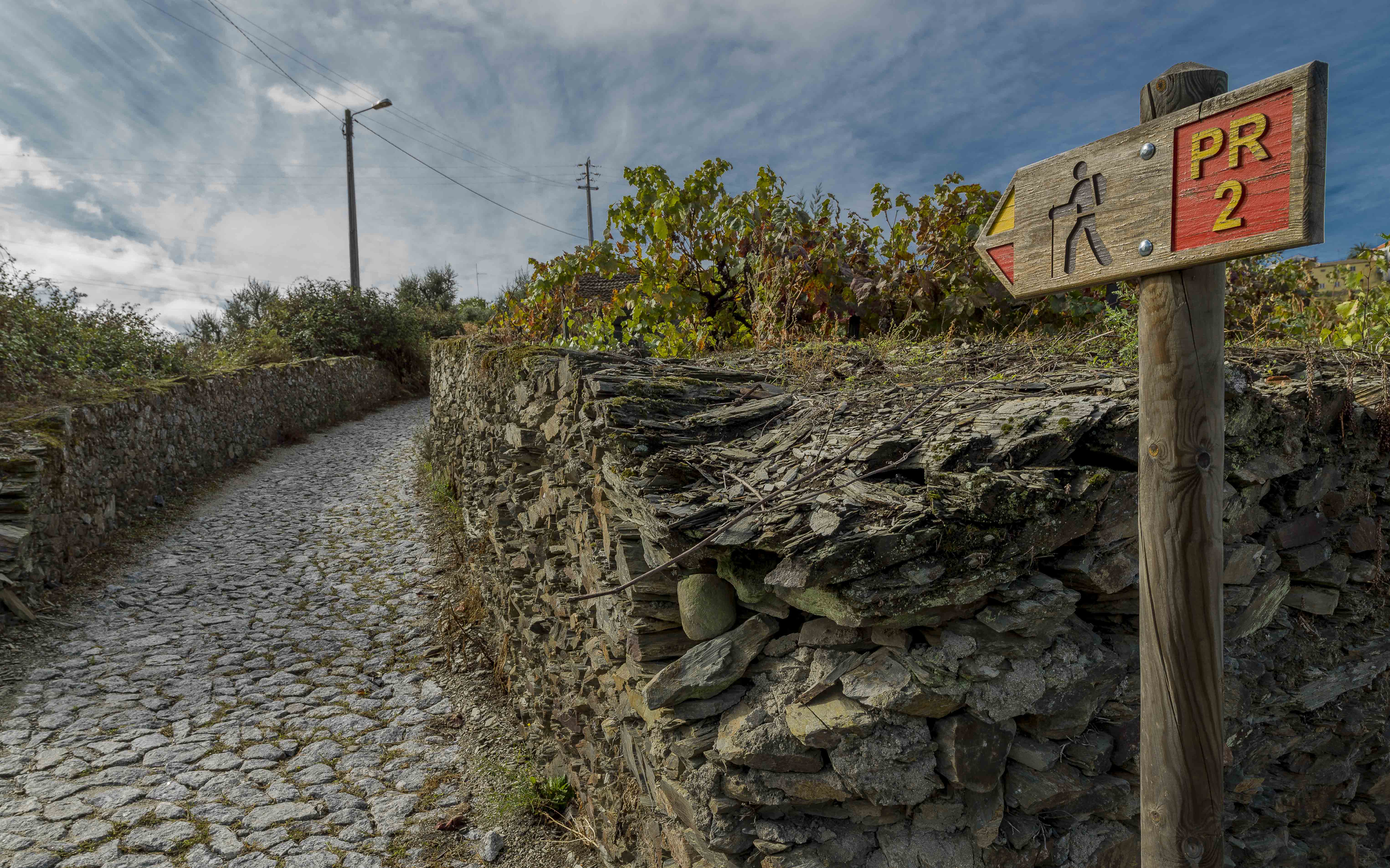 RED DE RECORRIDOS INTERPRETATIVOS ALTO DUERO PORTUGUÉS